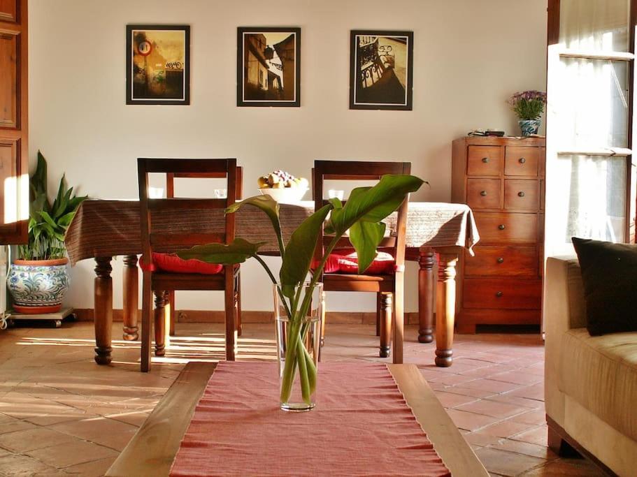 Apartamento Oasis กรานาดา ภายนอก รูปภาพ
